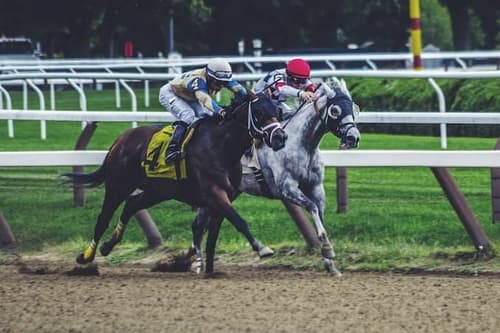 SIS Betting: customer case with Beebole